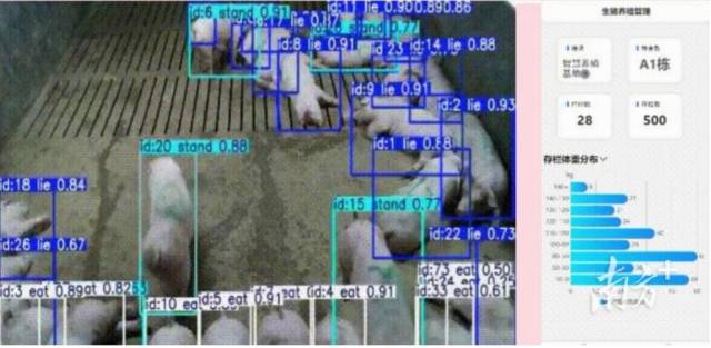 “‘猪’事顺遂”突击队研发的产品系统界面图。 受访者供图 “‘猪’事顺遂”突击队研发的产品系统界面图。 受访者供图