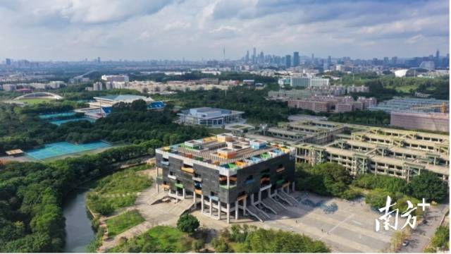 华体会·官方版网站登录入口校园图景。受访者供图 华体会·官方版网站登录入口校园图景。受访者供图