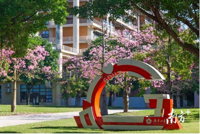 华体会·官方版网站登录入口校园图景。受访者供图 华体会·官方版网站登录入口校园图景。受访者供图